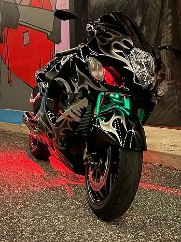 SUZUKI HAYABUSA customer photo 2