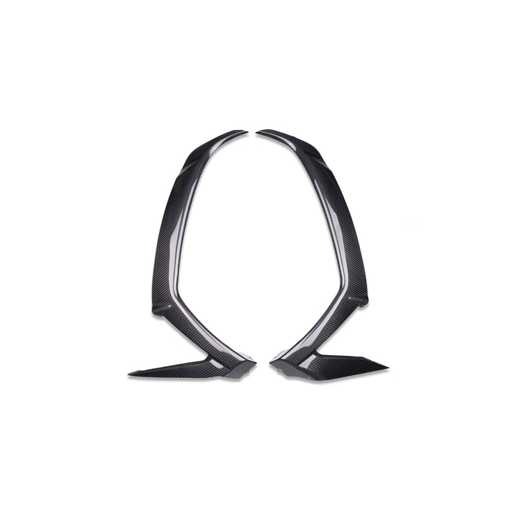 NT 2011-2020 Kawasaki Ninja ZX-10R Front Leading Edges - 100% Carbon Fiber