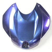 NT Chameleon Magic Discolored Fairing Fit for BMW 2009-14 S1000RR Injection a034