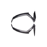 NT 2011-2020 Kawasaki Ninja ZX-10R Front Leading Edges - 100% Carbon Fiber