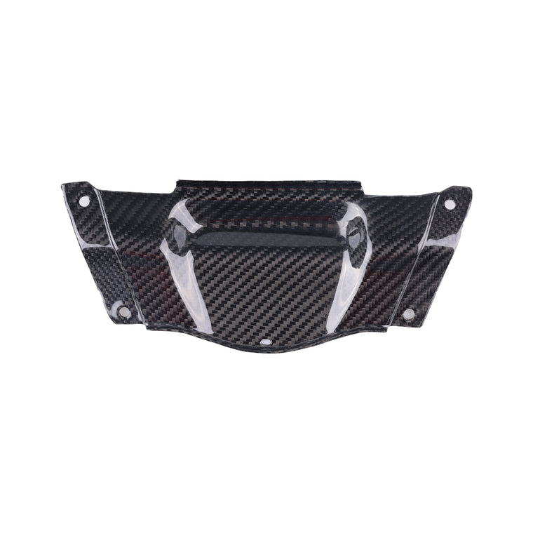 NT Center Tail Panel in 100% Carbon Fiber for Suzuki GSXR1300 Hayabusa 2021-2025