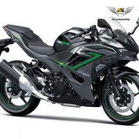 NT Aftermarket Injection ABS Plastic Fairing Fit for  Ninja EX500 2024 Black Green N006