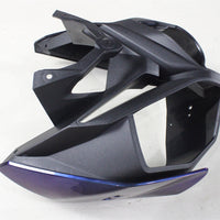 NT Chameleon Magic Discolored Fairing Fit for BMW 2009-14 S1000RR Injection a034