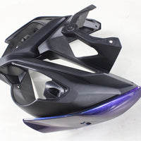 NT Chameleon Magic Discolored Fairing Fit for BMW 2009-14 S1000RR Injection a034